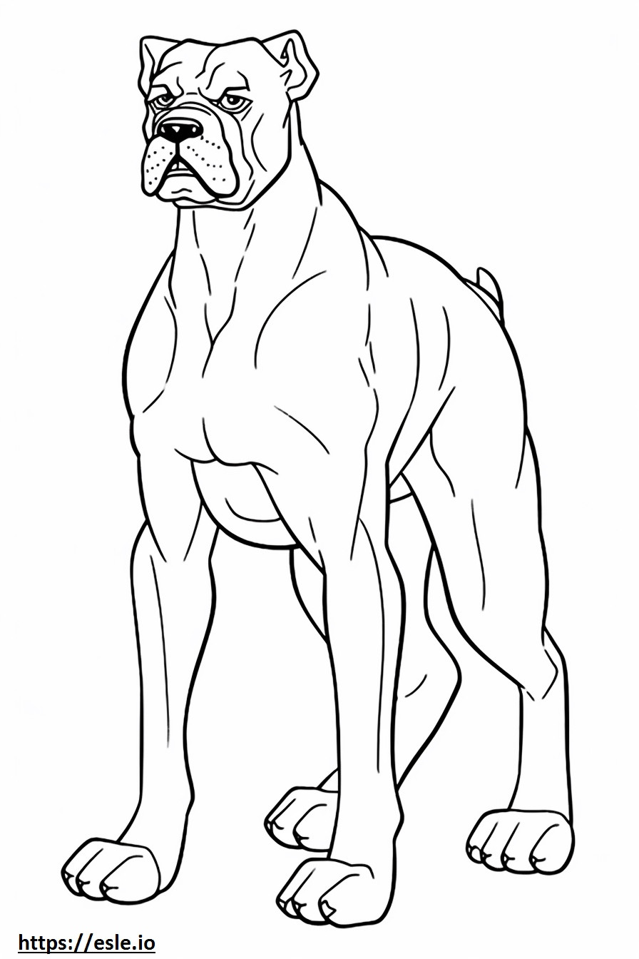 Boxer-Hund-Cartoon ausmalbild