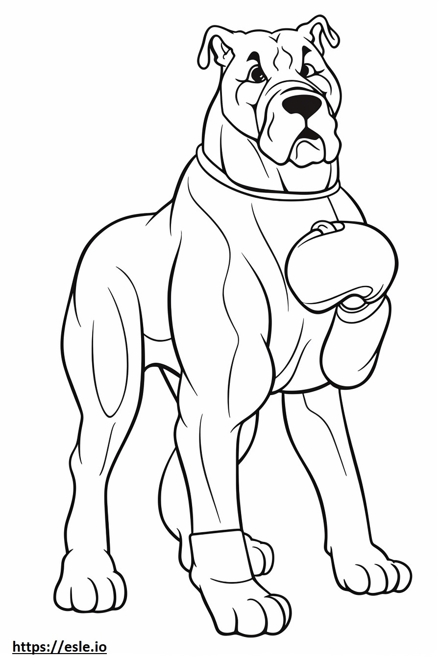 Boxer Dog cute coloring page