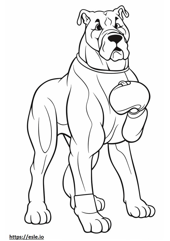 Perro boxer lindo para colorear e imprimir