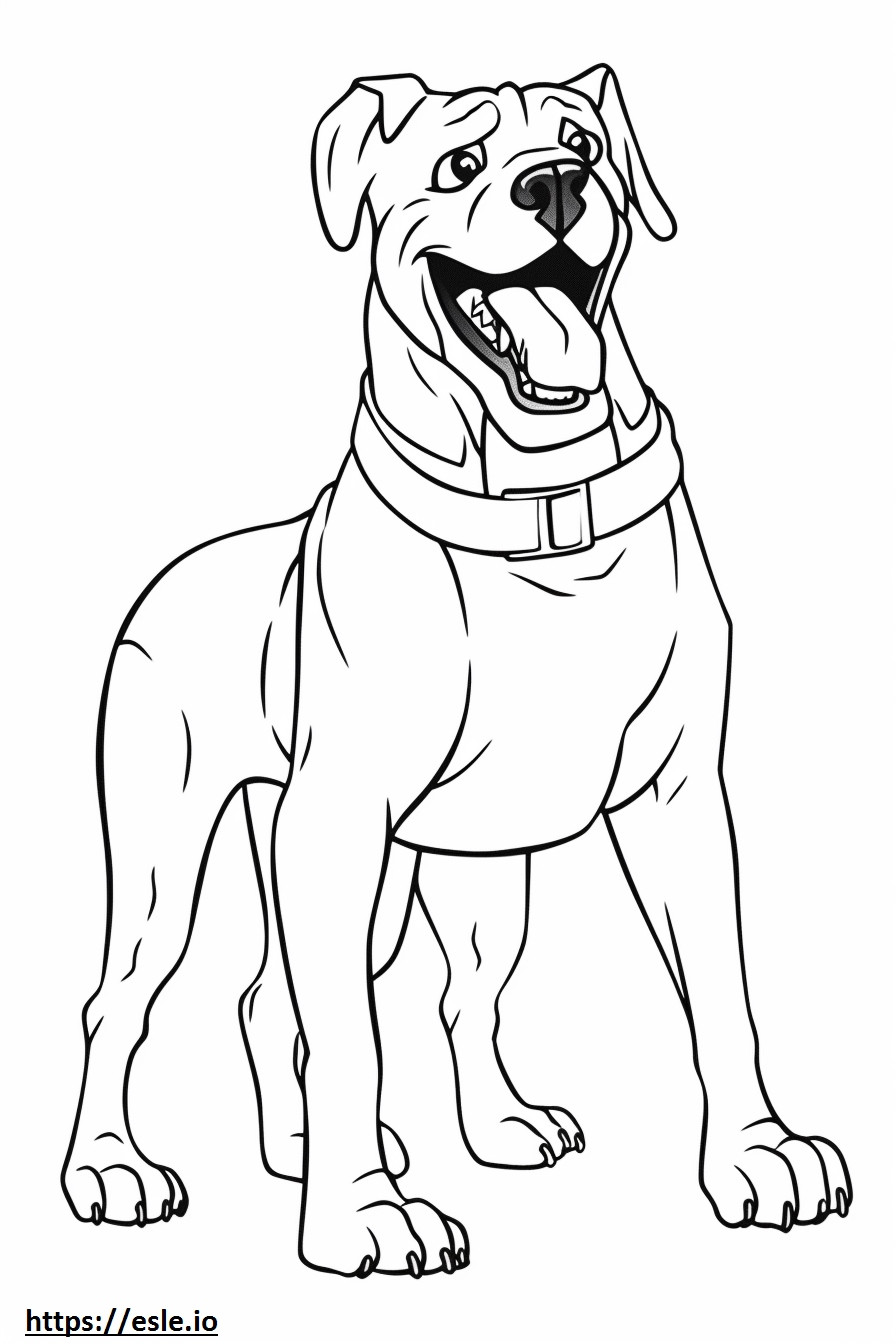 Boxer Dog onnellinen värityskuva