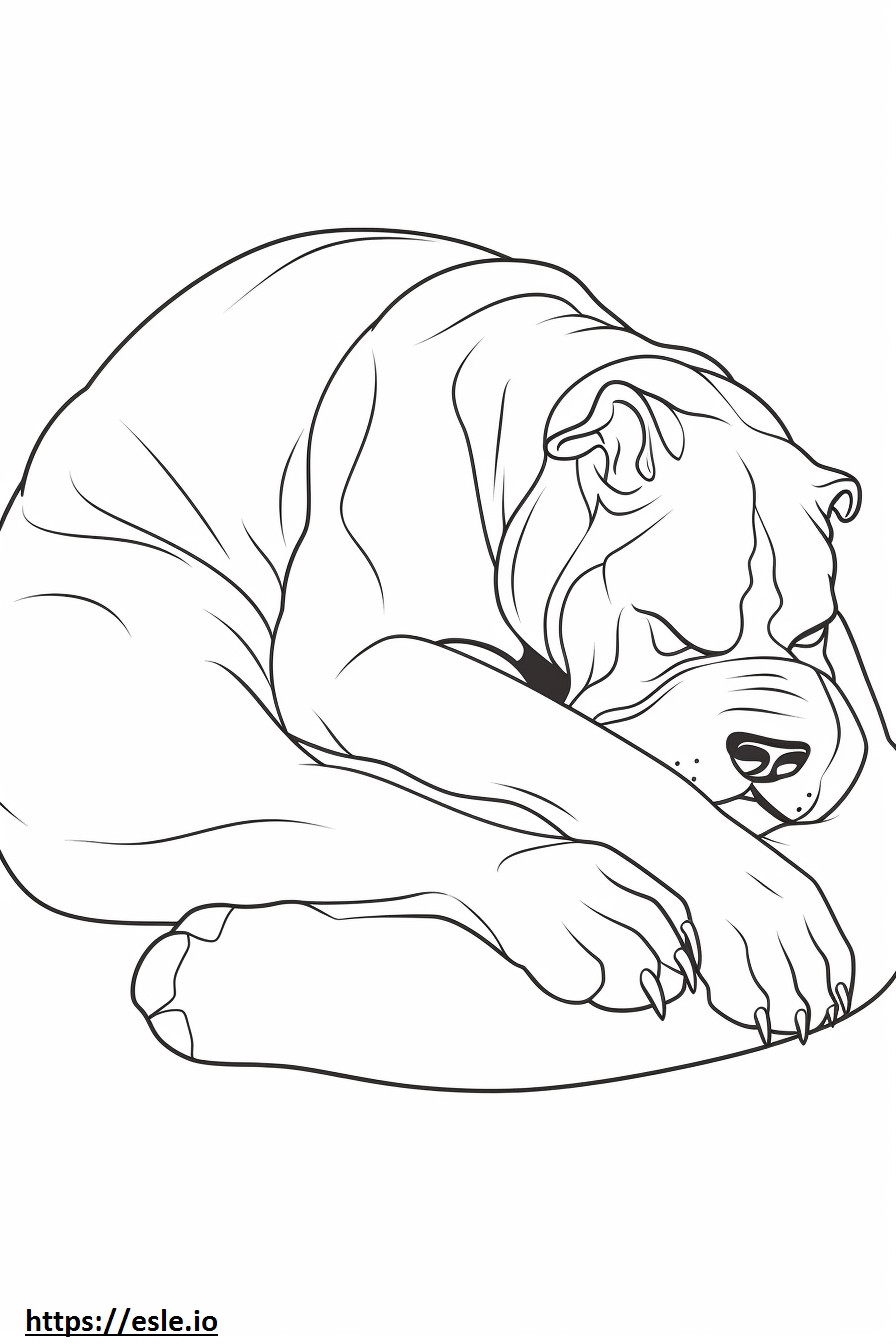 Boxerhond slapen kleurplaat kleurplaat