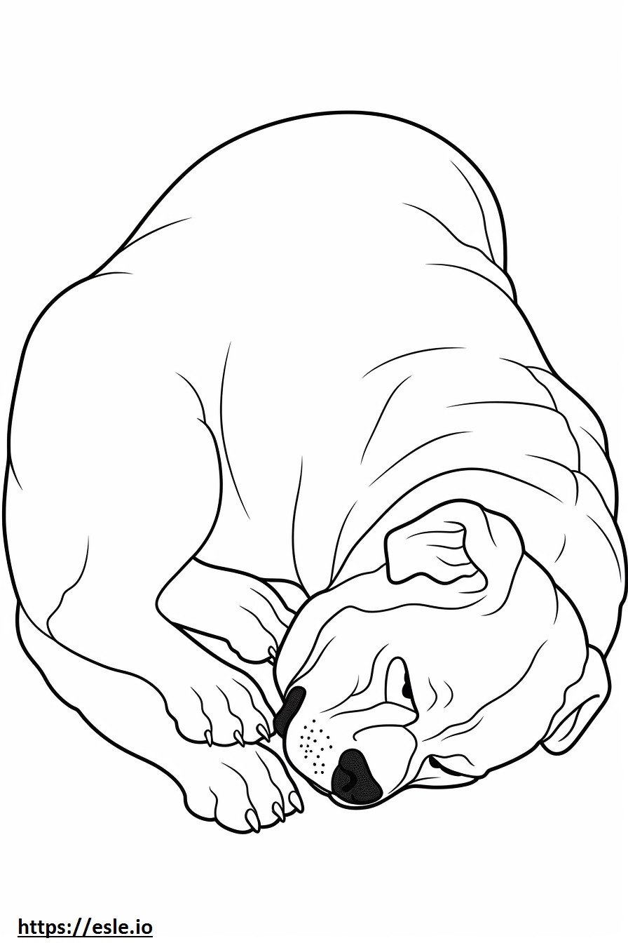 眠っているボクサー犬 ぬりえ - 塗り絵