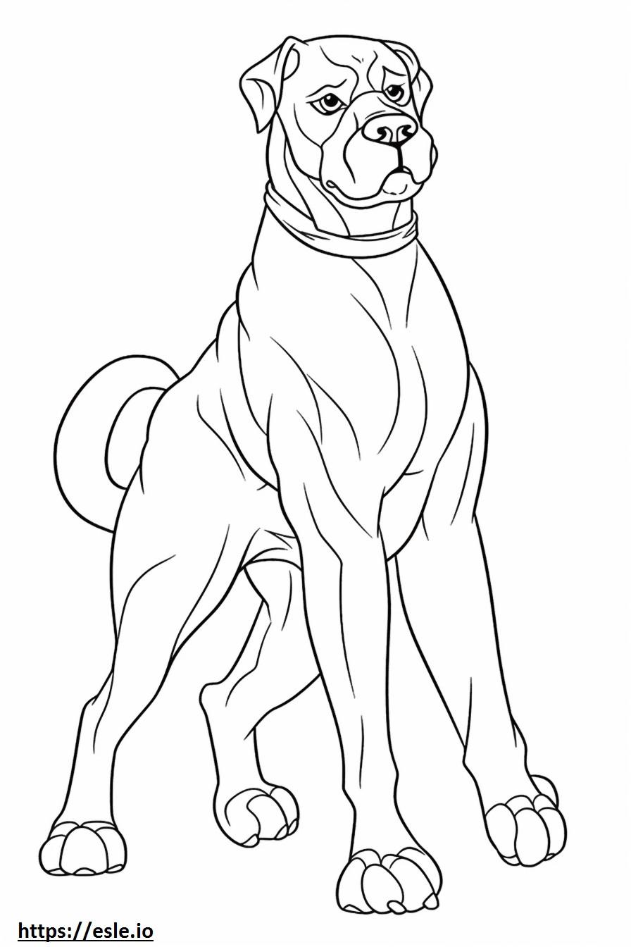 Boxer Dog Playing coloring page