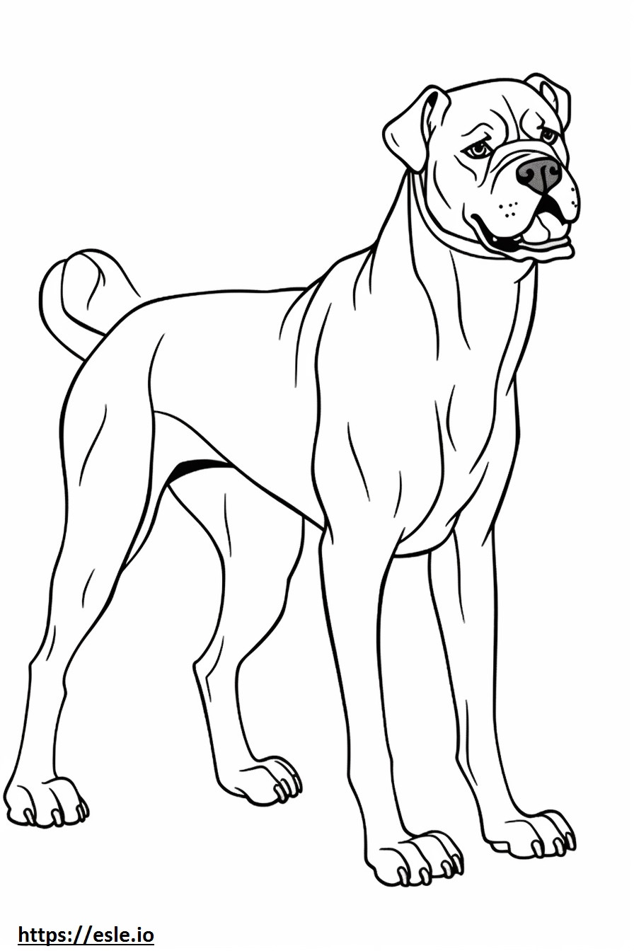Perro Boxer Jugando para colorear e imprimir