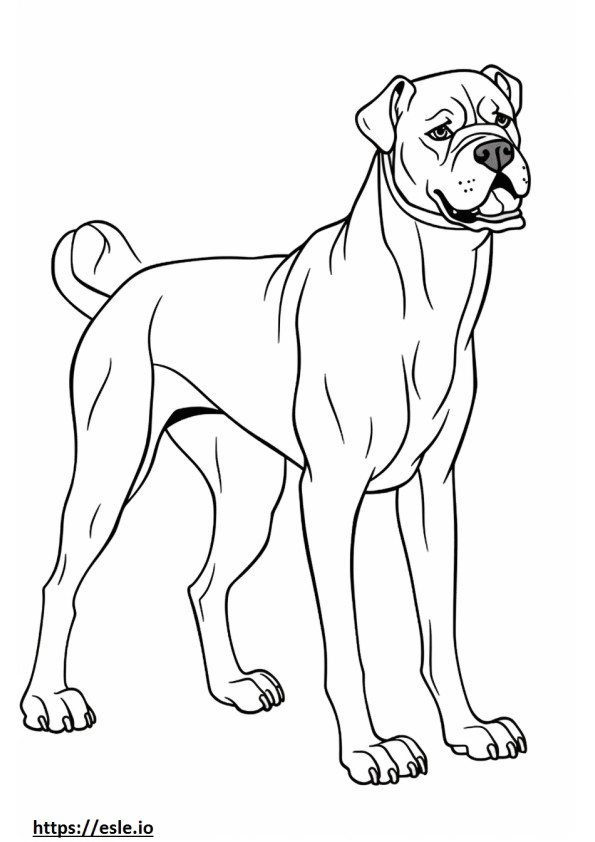 Perro Boxer Jugando para colorear e imprimir