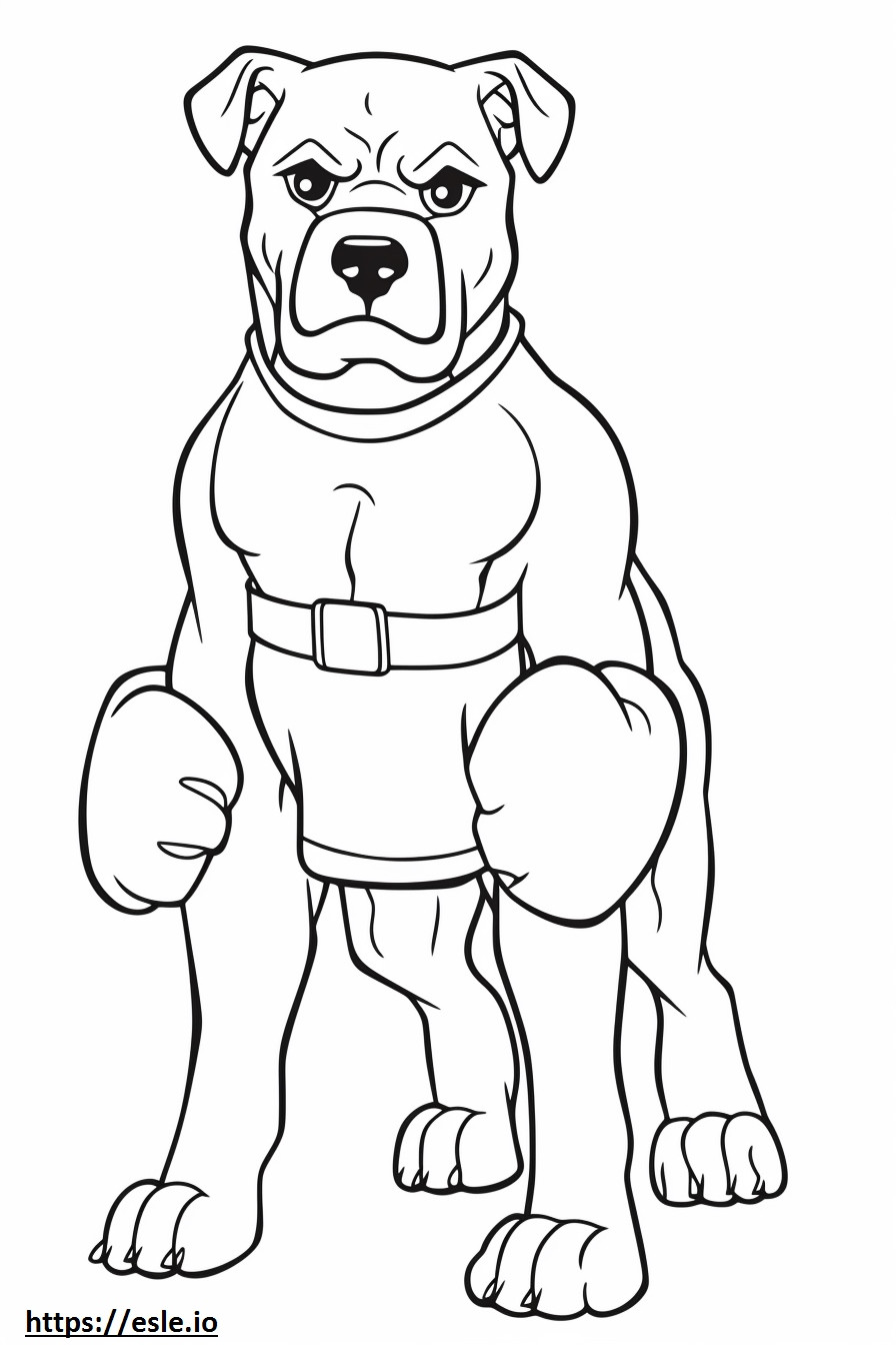 Boxer Dog Kawaii szinező