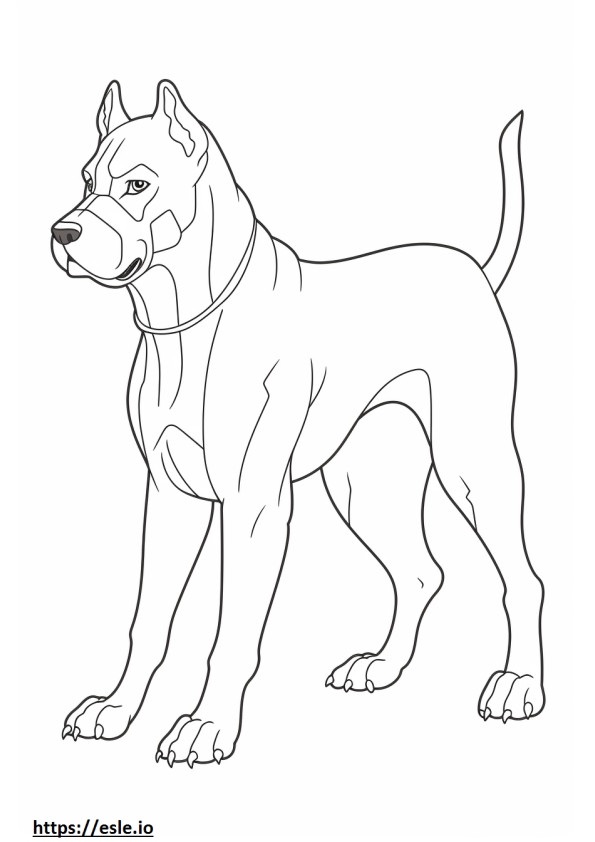 Boxer Dog Kawaii coloring page