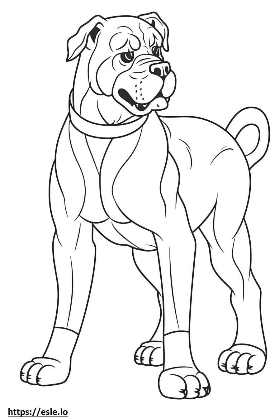Boxer Dog Kawaii szinező