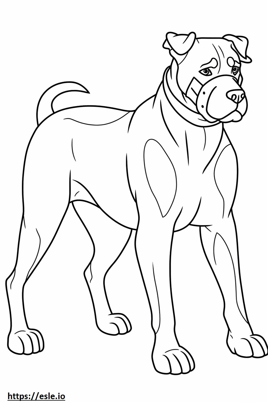 Cachorro Boxer Kawaii para colorir