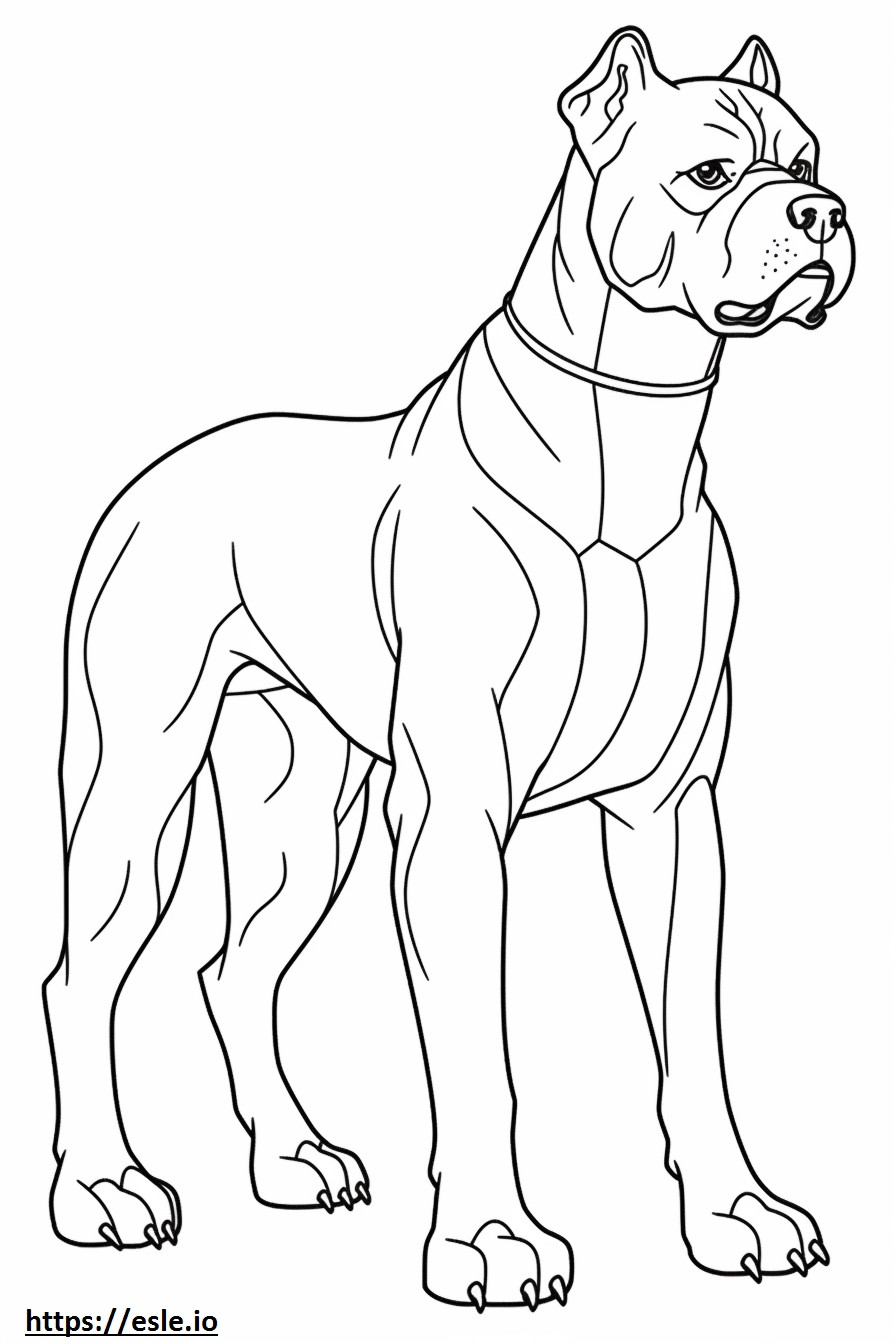 Boxer Dog Friendly coloring page