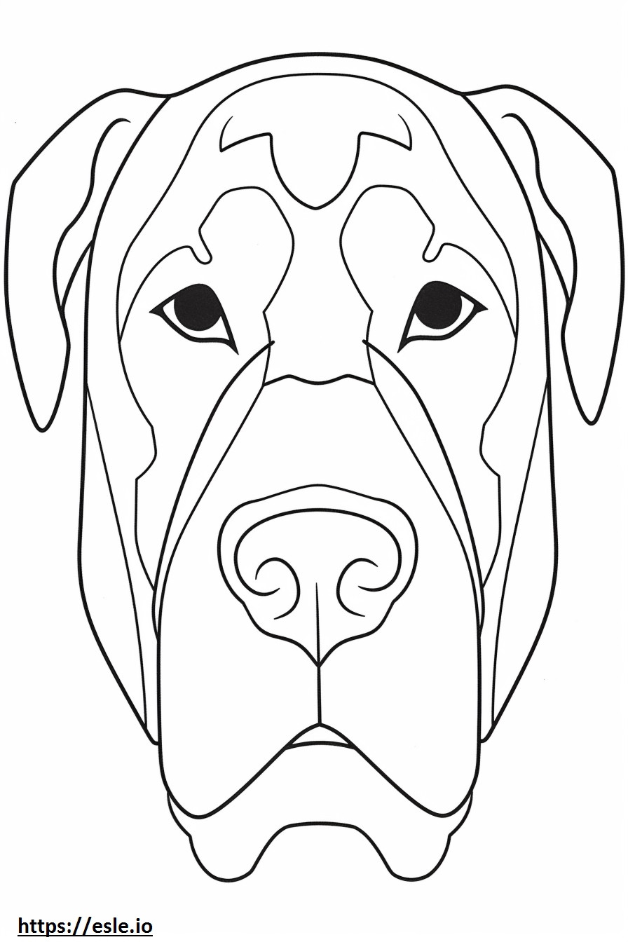 Boxerdoodle face coloring page
