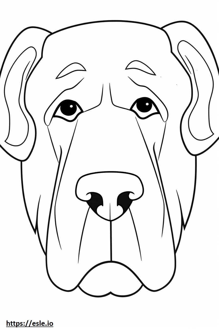Cara de Boxerdoodle para colorir