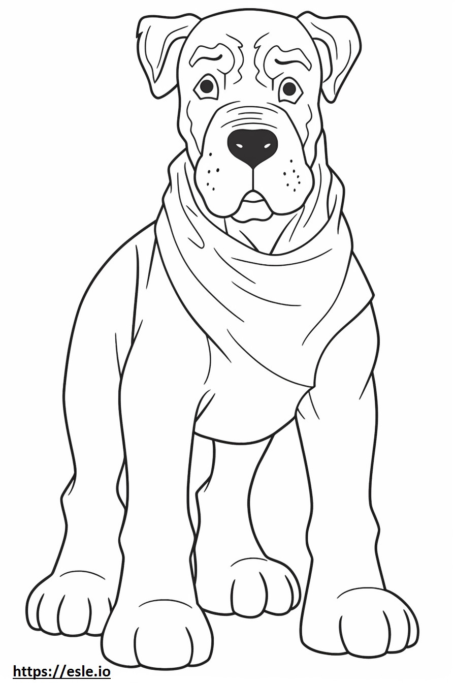 Boxerdoodle baby coloring page