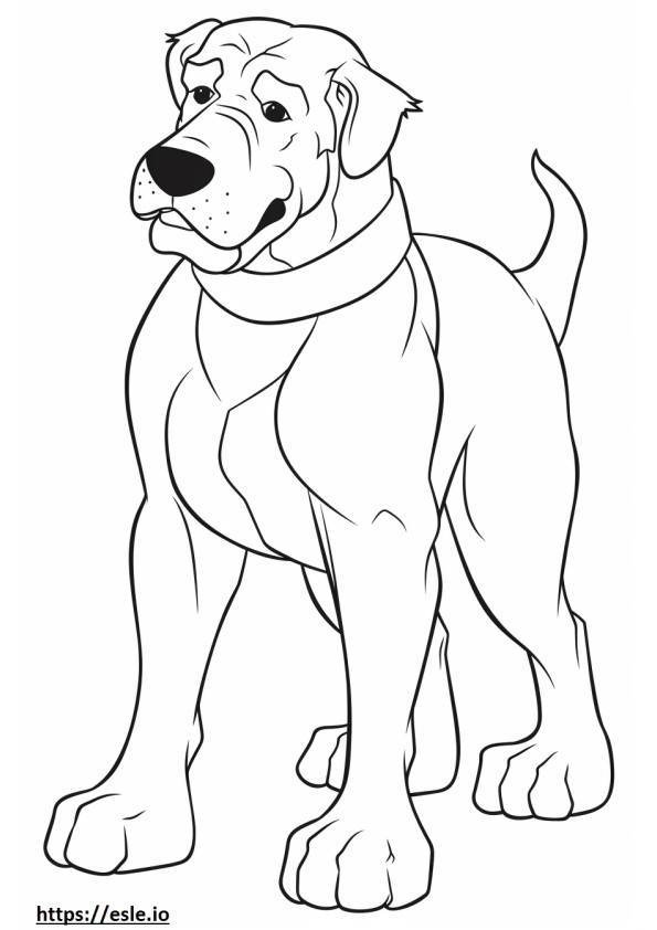 Desenho animado Boxerdoodle para colorir
