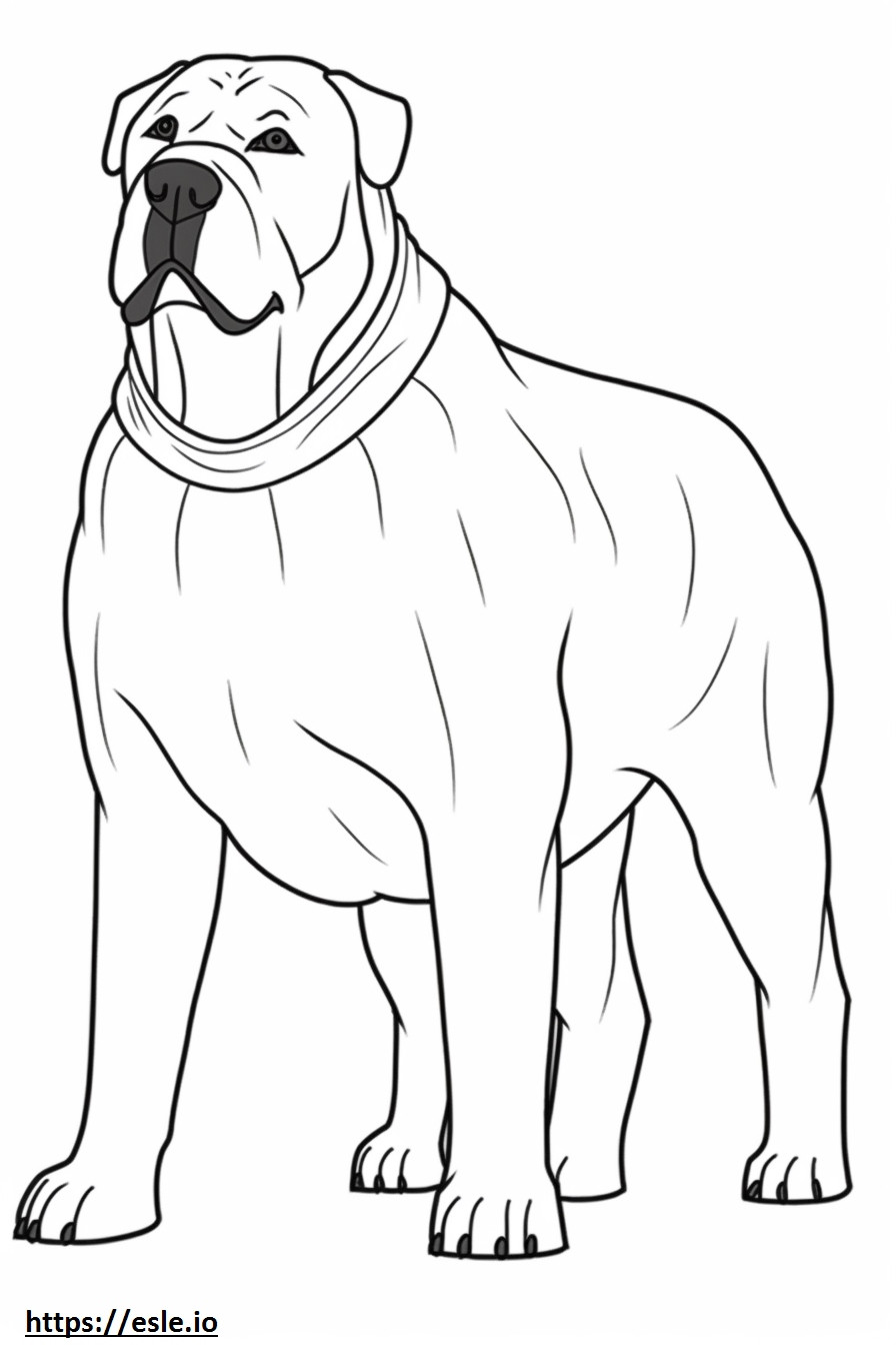 Desenho animado Boxerdoodle para colorir
