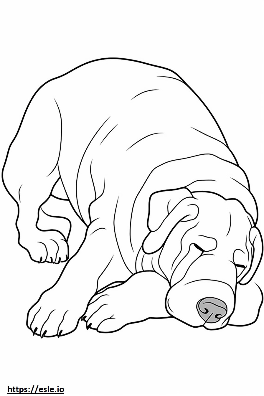 Boxerdoodle Sleeping coloring page
