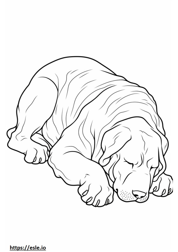 Boxerdoodle Sleeping coloring page