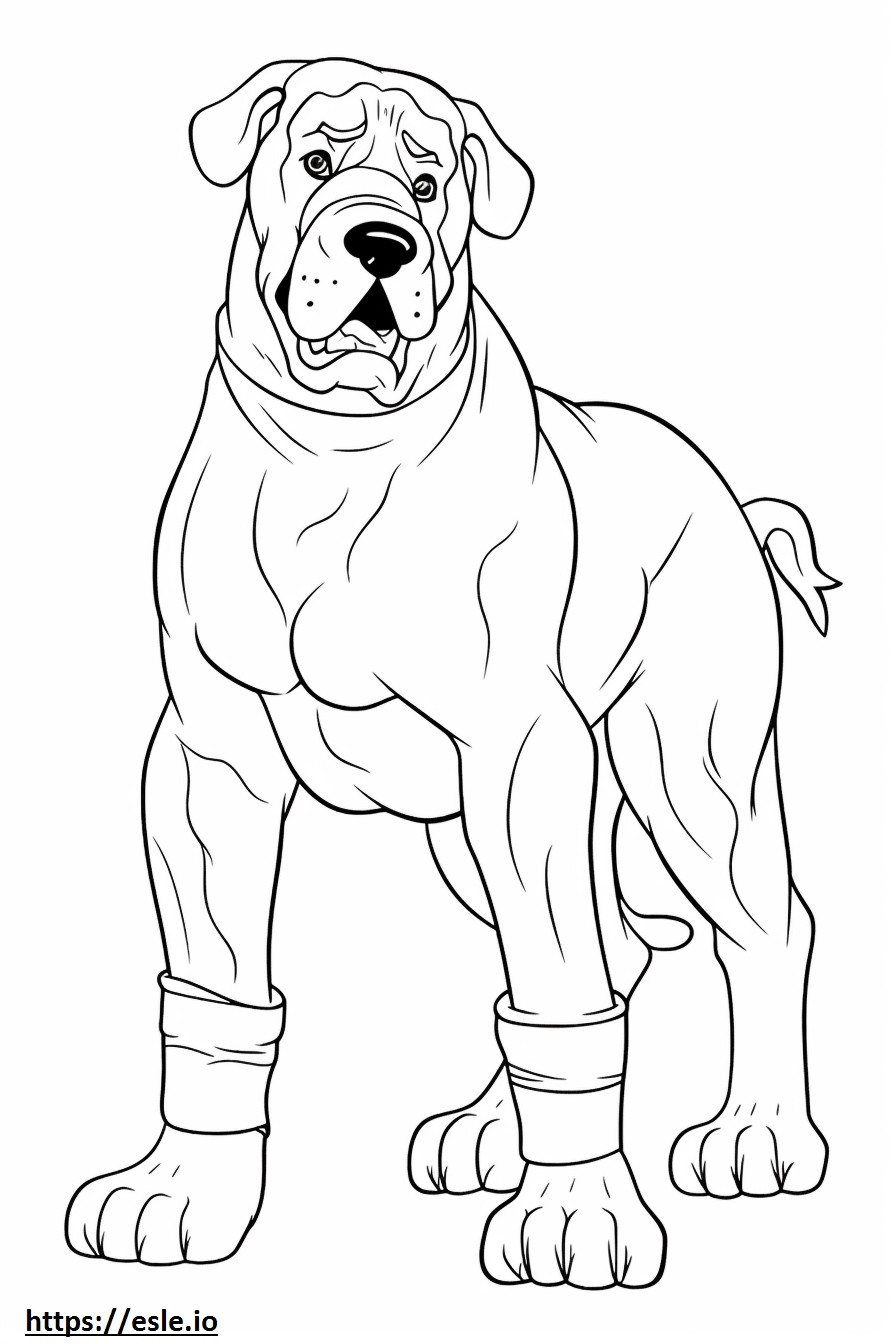 Boxerdoodle Playing coloring page