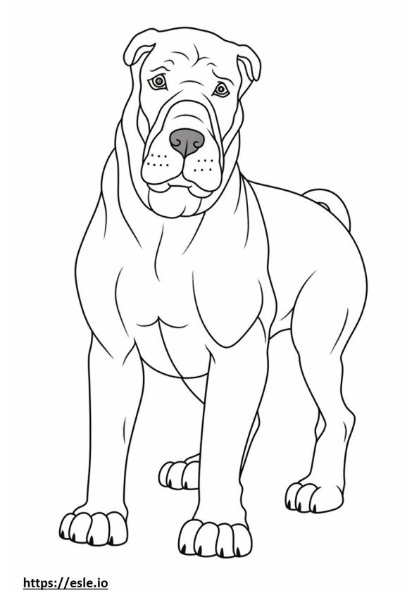 Boxerdoodle Friendly coloring page