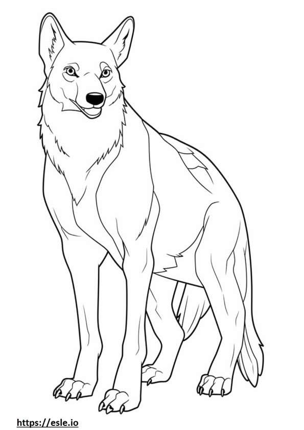 Boxsky full body coloring page