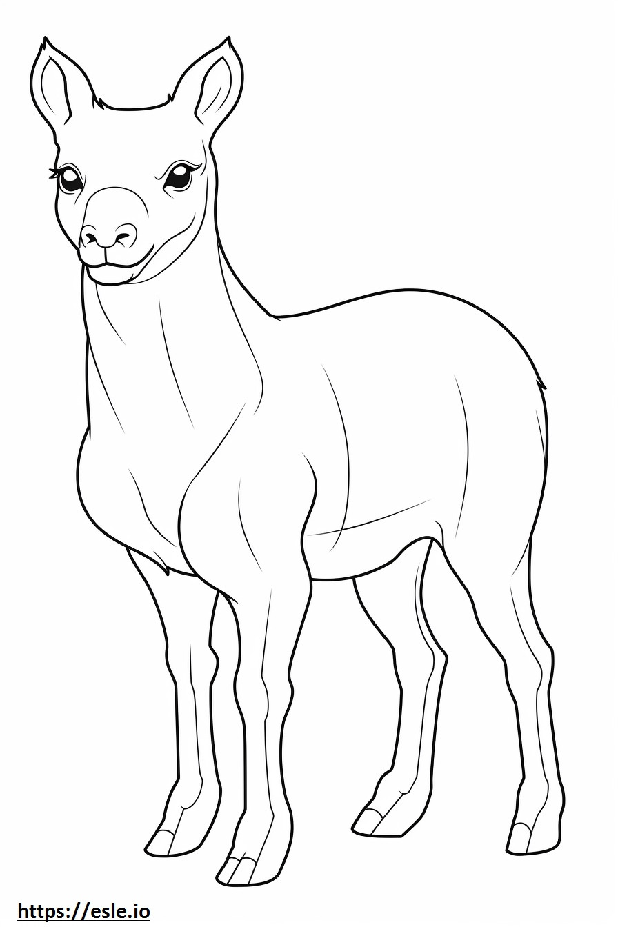 Boxsky baby coloring page