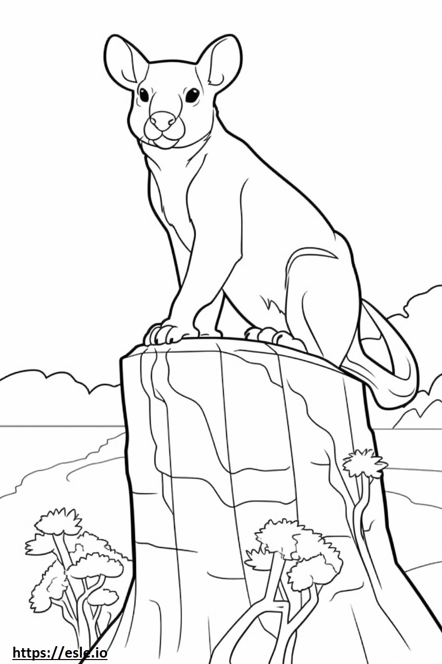 Boxsky cute coloring page