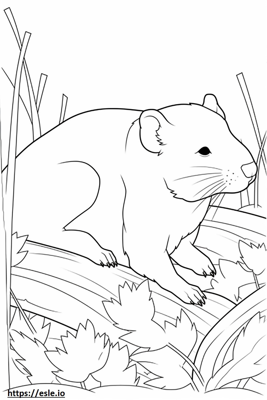 Boxsky Sleeping coloring page