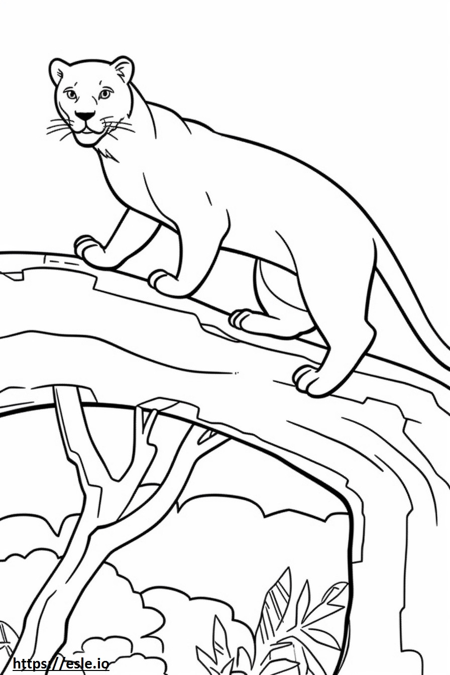 Boxsky Playing coloring page
