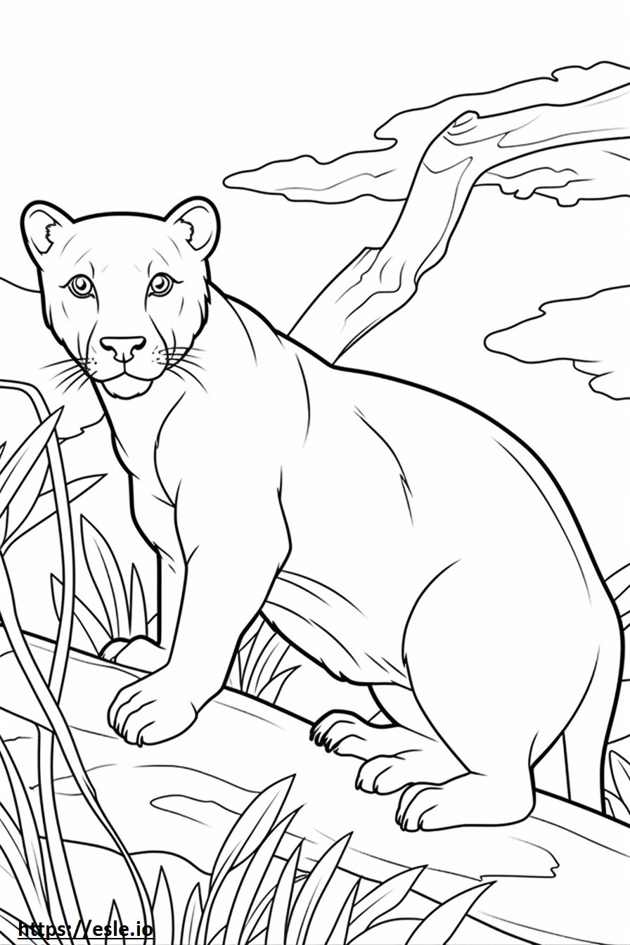 Boxsky Friendly coloring page
