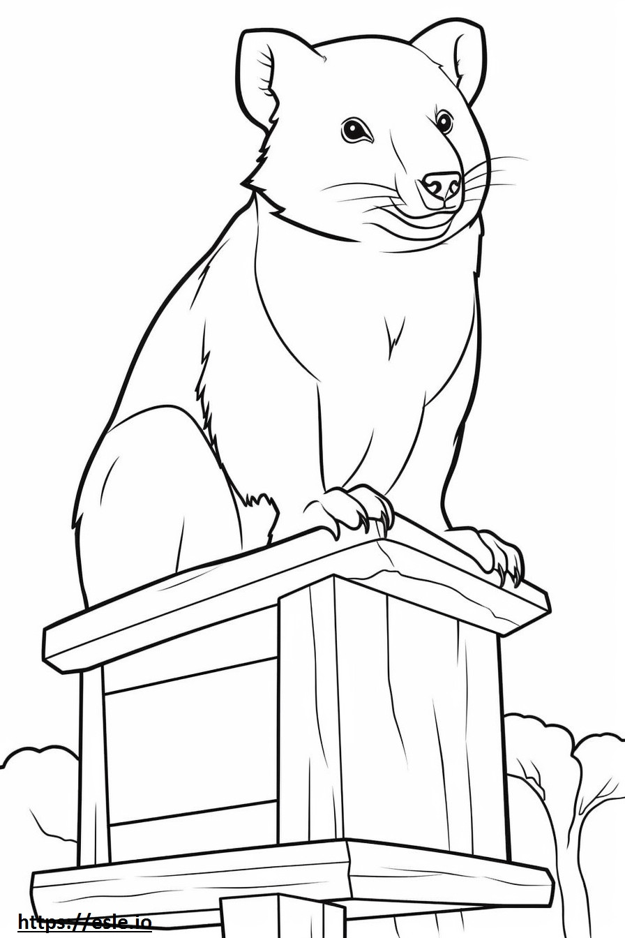 Boxsky Friendly coloring page