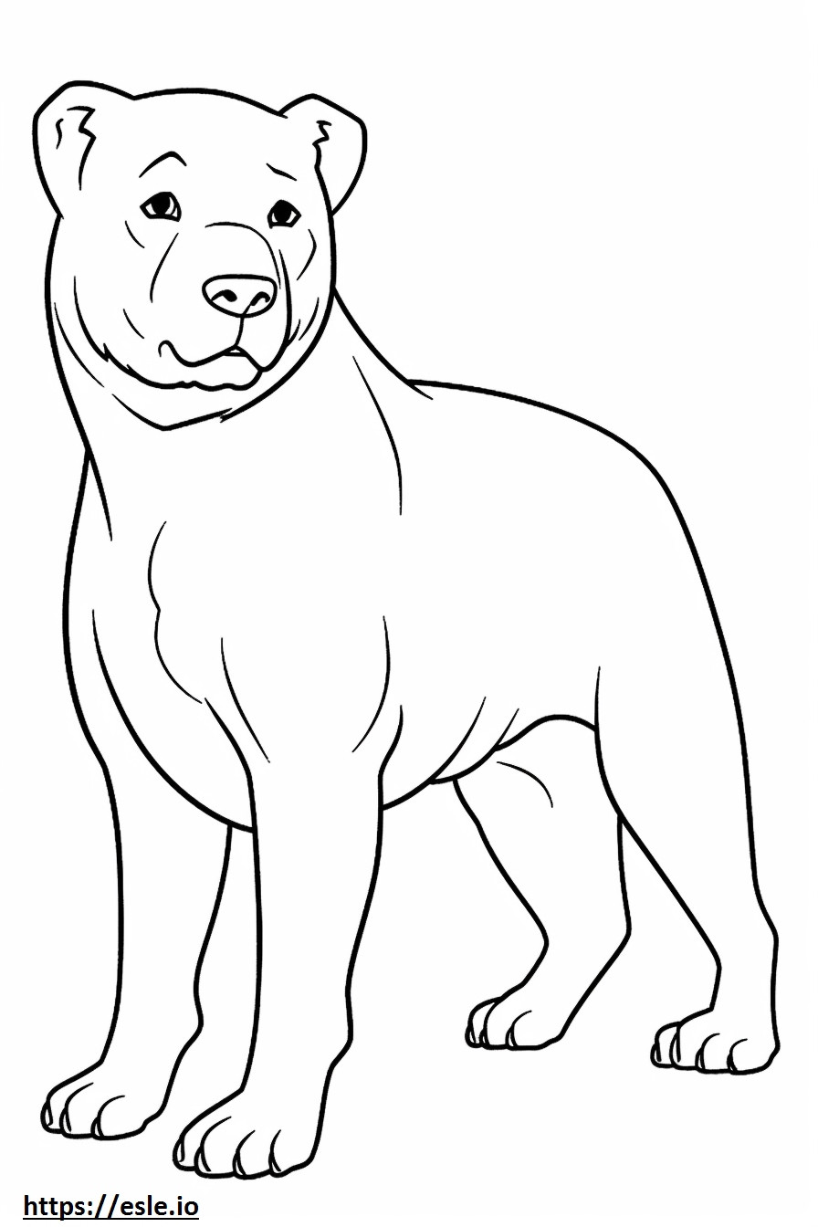 Boxweiler Playing coloring page