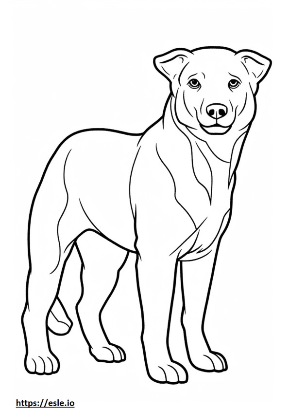 Boxweiler Playing coloring page