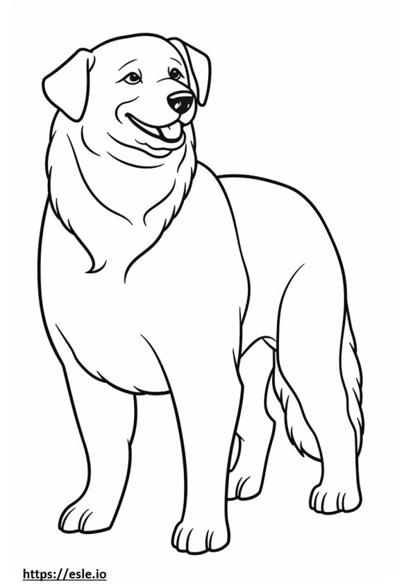 Boxweiler Friendly coloring page