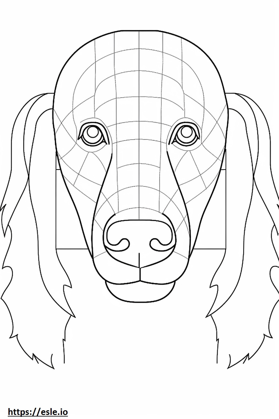 Boykin Spaniel face coloring page