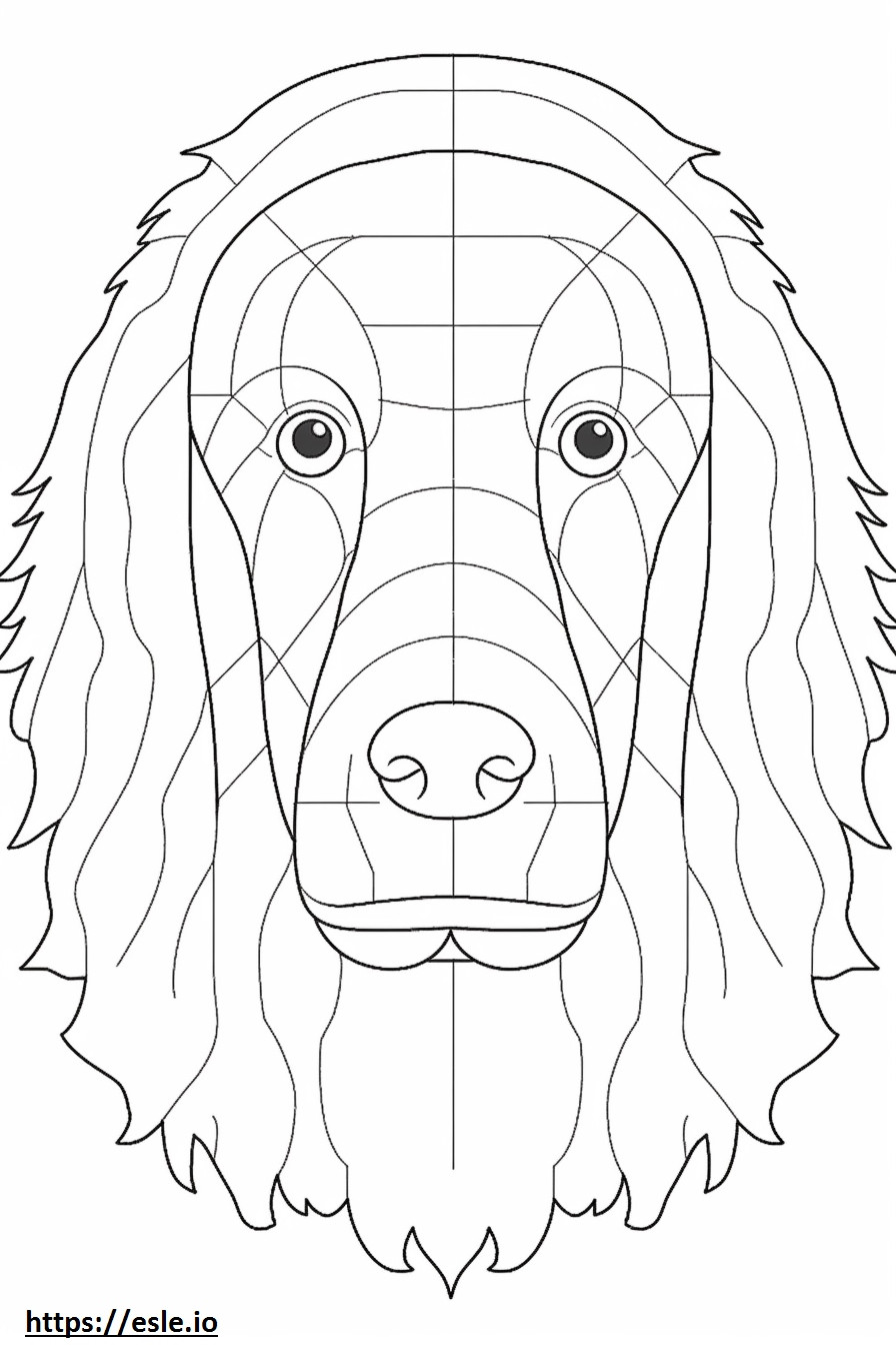 Boykin Spaniel face coloring page