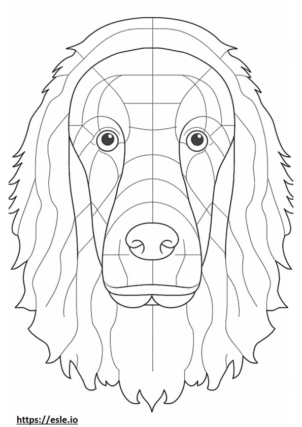 Cara de perro de aguas de boykin para colorear e imprimir