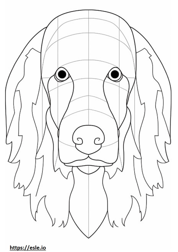 Cara de perro de aguas de boykin para colorear e imprimir