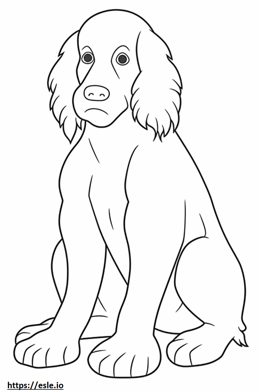 Boykin Spaniel baby coloring page