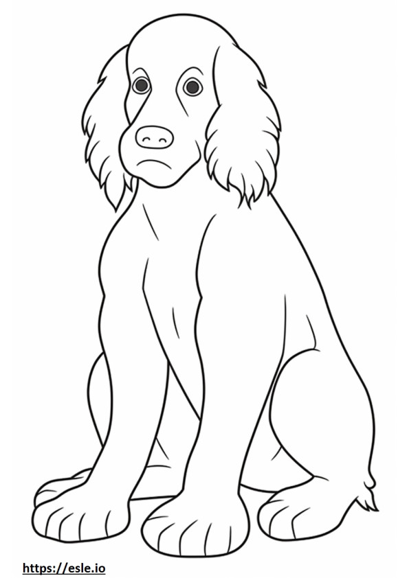 Boykin Spaniel baby coloring page
