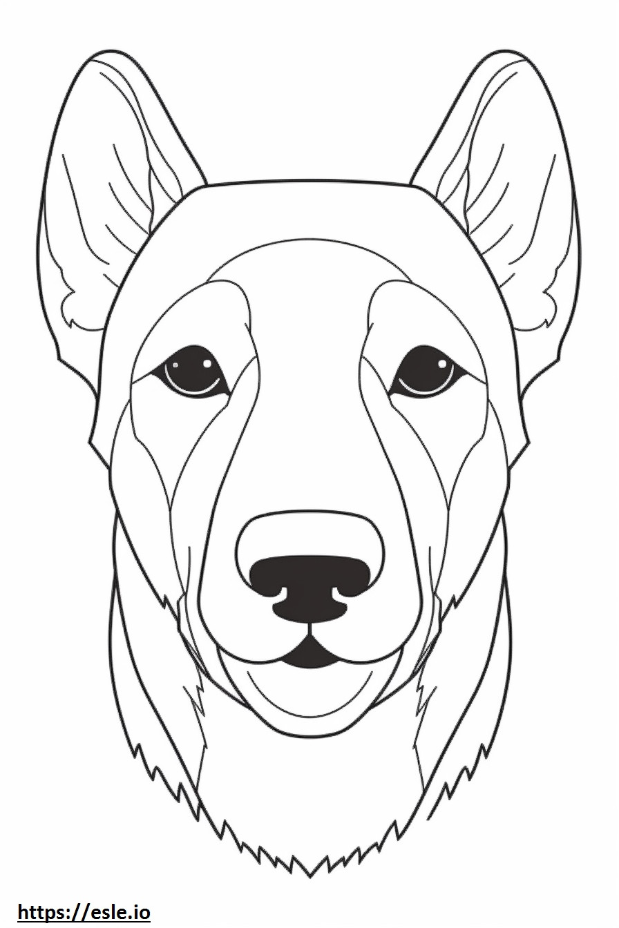 Brazilian Terrier face coloring page