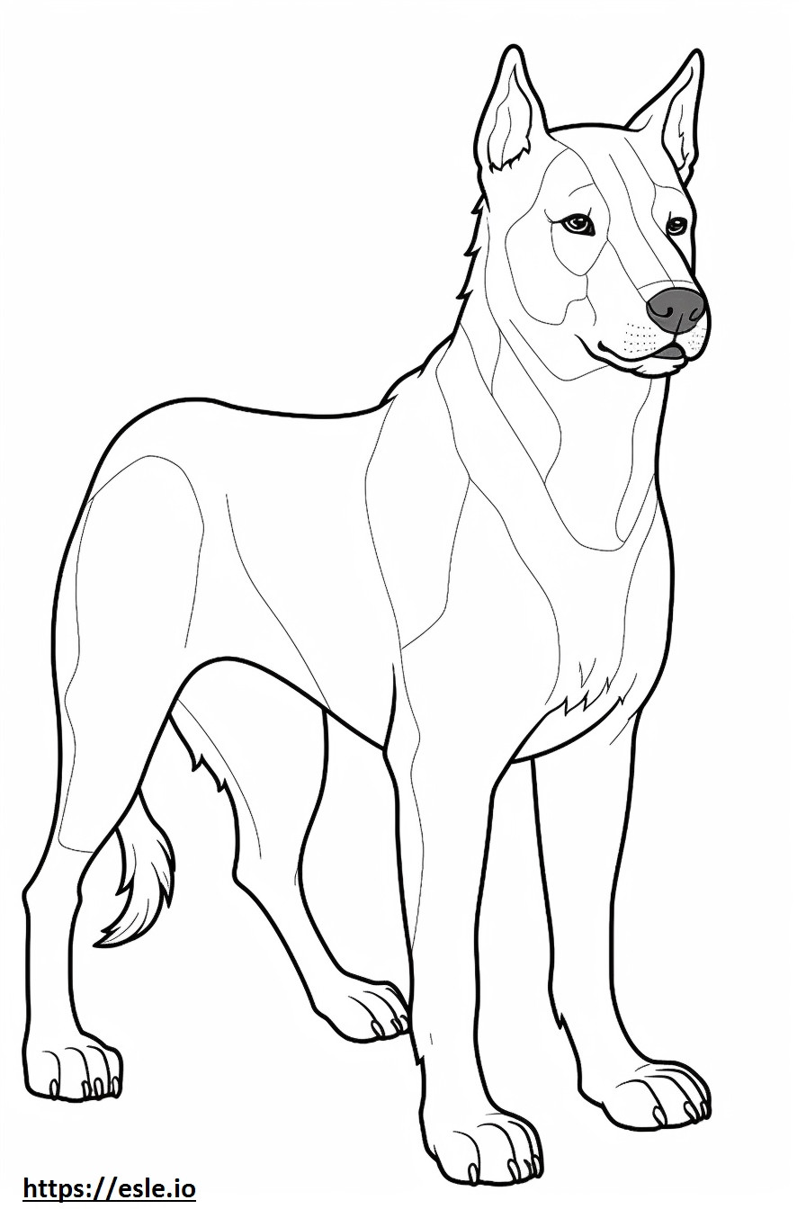 Corpo inteiro do Terrier Brasileiro para colorir