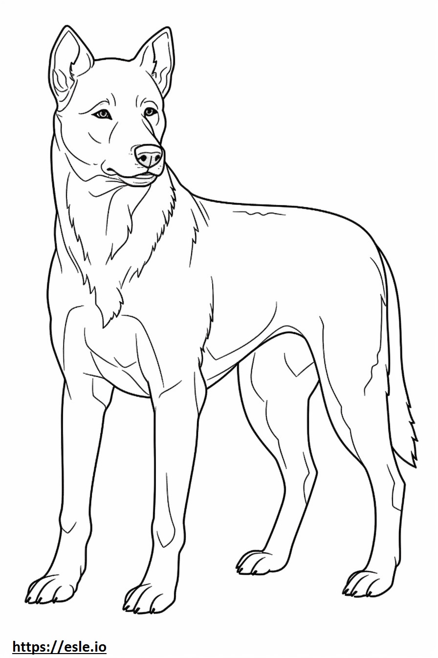 Brazilian Terrier full body coloring page