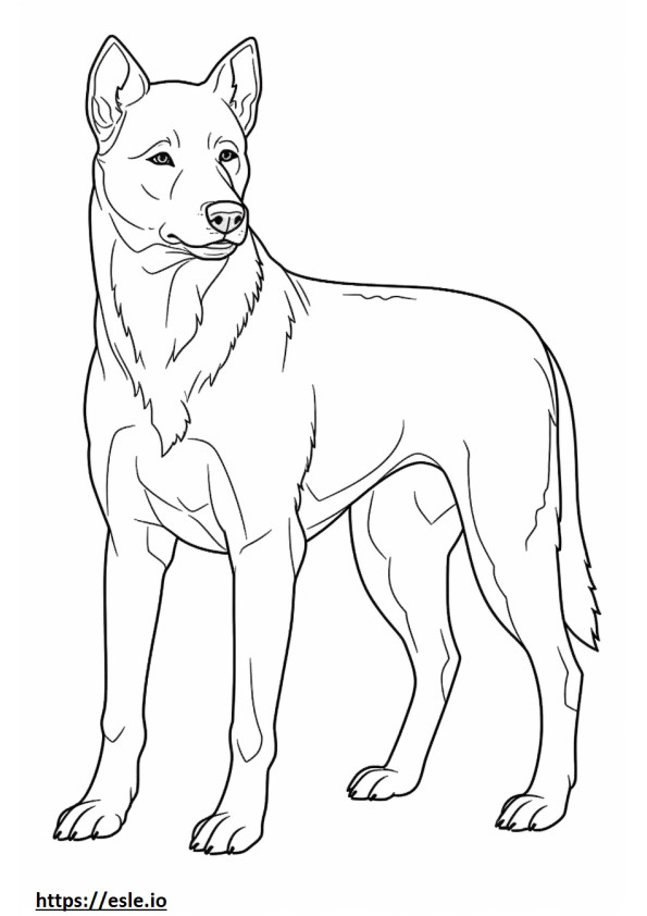 Brazilian Terrier full body coloring page