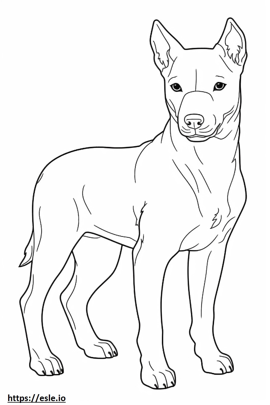 Brazilian Terrier baby coloring page