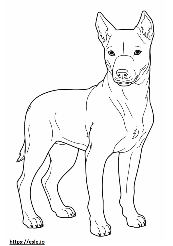 Brazilian Terrier baby coloring page