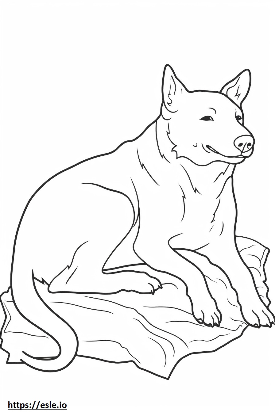 Brazilian Terrier Sleeping coloring page