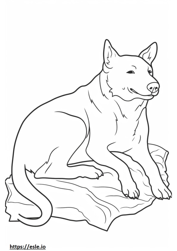 Brazilian Terrier Sleeping coloring page