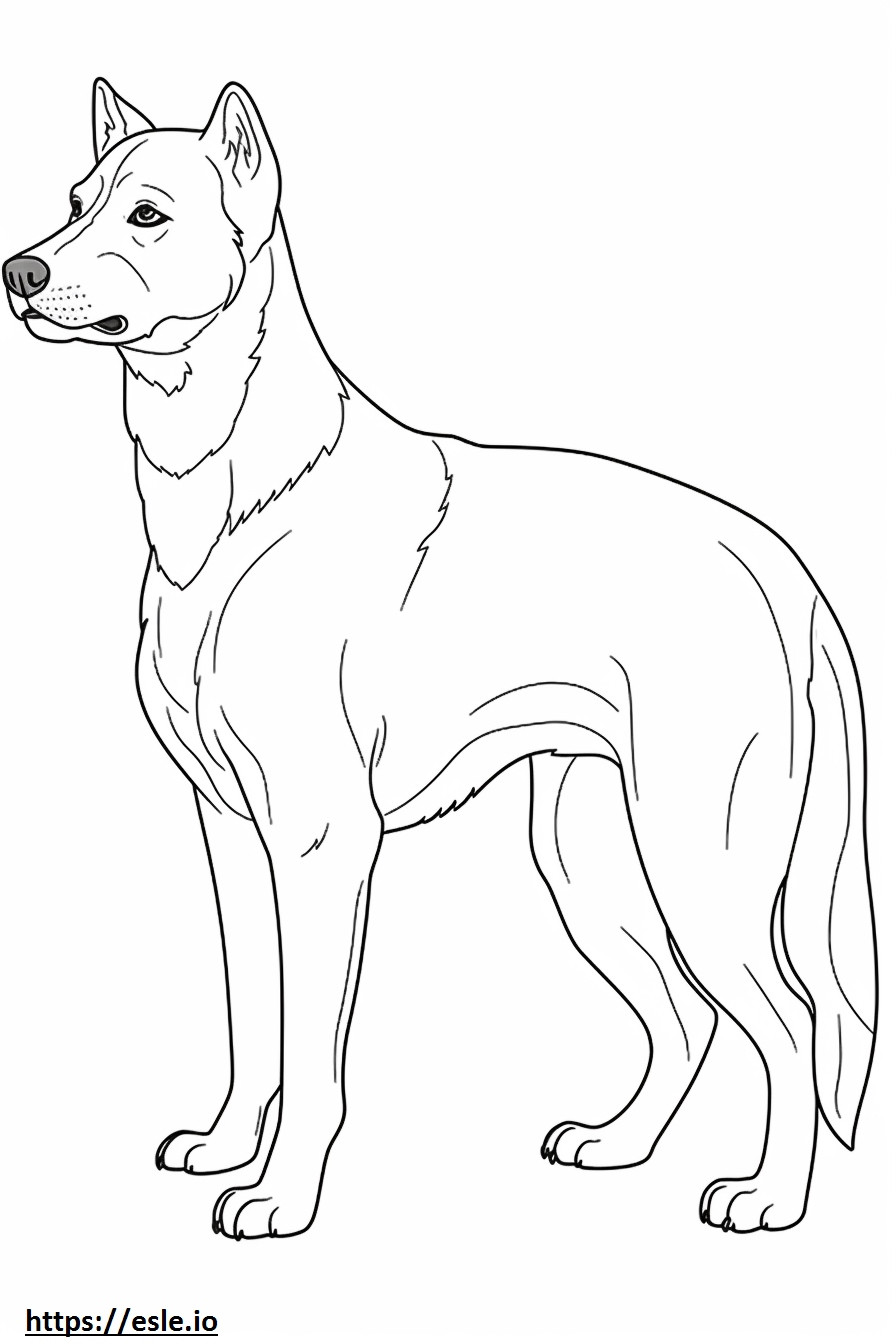 Brazilian Terrier Playing coloring page