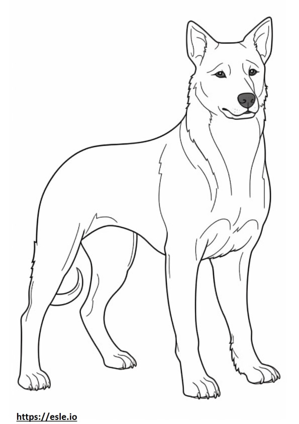 Brazilian Terrier Playing coloring page
