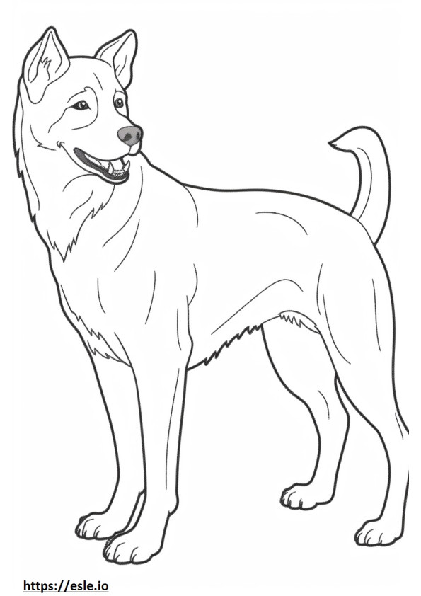 Brazilian Terrier Friendly coloring page